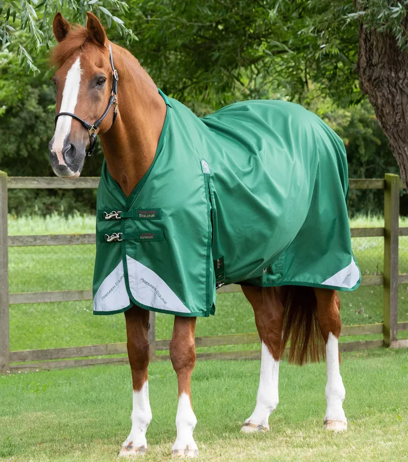 Premier Equine Akoni 0g Original Turnout Rug - Green