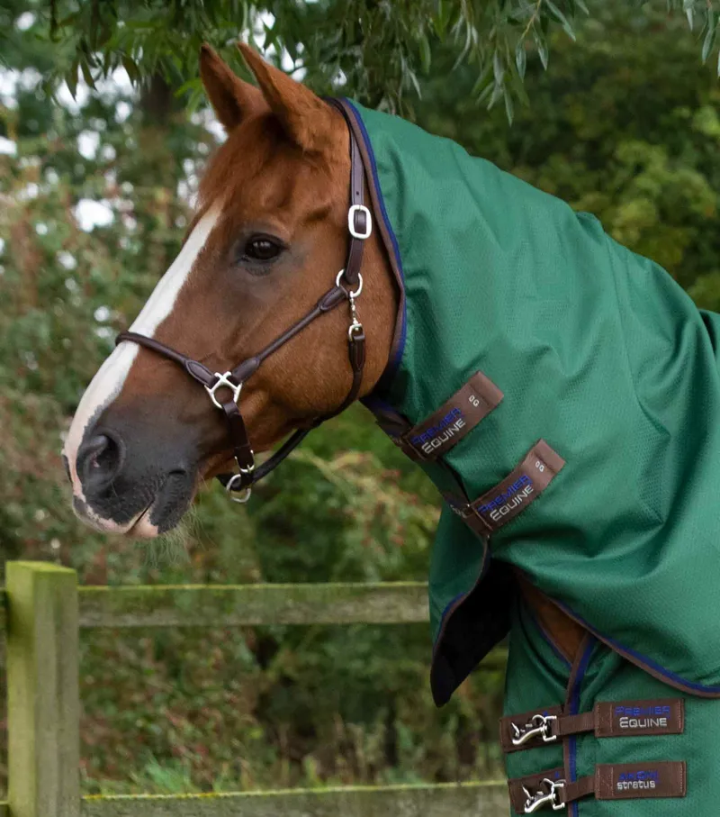 Premier Equine Akoni 0g Turnout Rug with Classic Neck Cover - Green-1