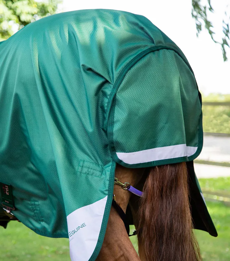 Premier Equine Akoni 0g Original Turnout Rug - Green-4