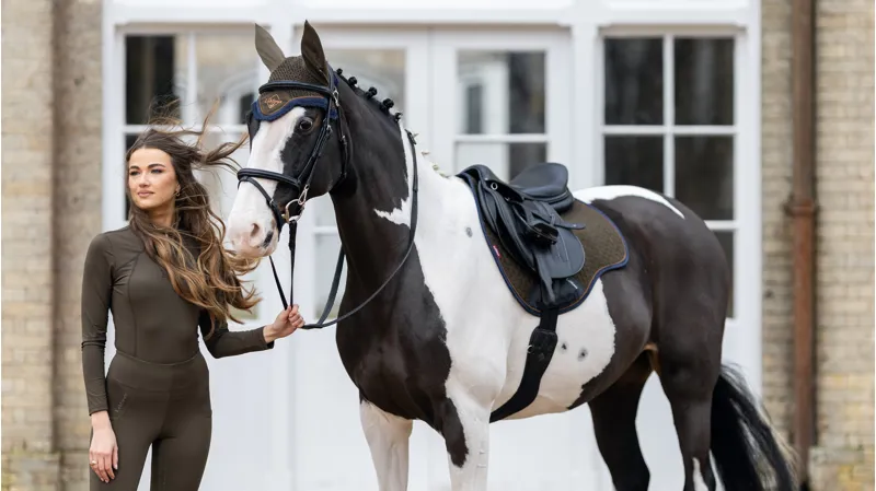 LeMieux Suede GP Square - Alpine -1