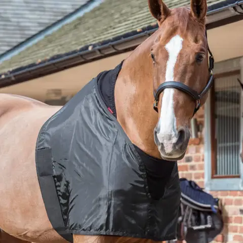 Horseware Amigo Ripstop 900D Plus 100g Turnout Rug | Houghton Country Horseware Amigo Ripstop 900D Plus 100g Turnout Rug | Houghton Country