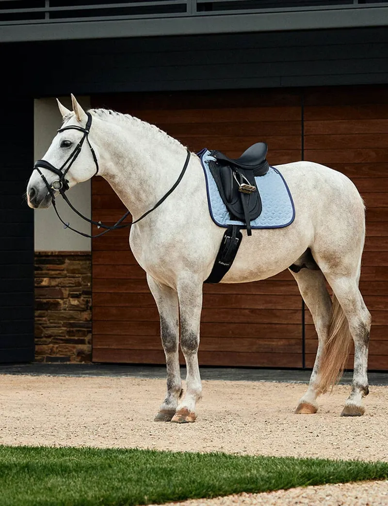 WeatherBeeta Suede Elite Air-Tec Dressage Saddle Pad - Aqua-1