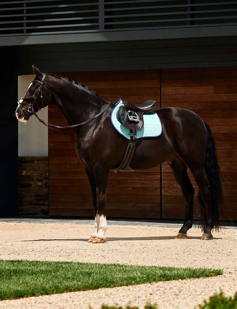 WeatherBeeta Suede Elite Air-Tec Jump Shaped Saddle Pad - Aqua-1