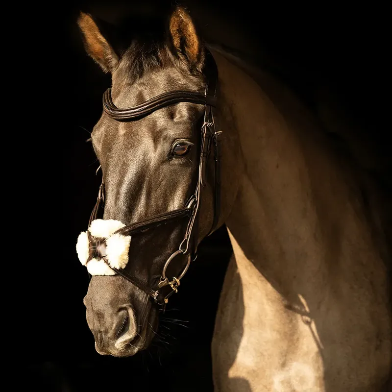 Hy Equestrian ProPresicce Pelle Grackle Leather Bridle - Brown/Brass-1