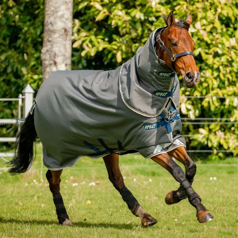 Horseware Amigo 12 Plus 250g Turnout Rug - Shadow/Navy/Lime-2