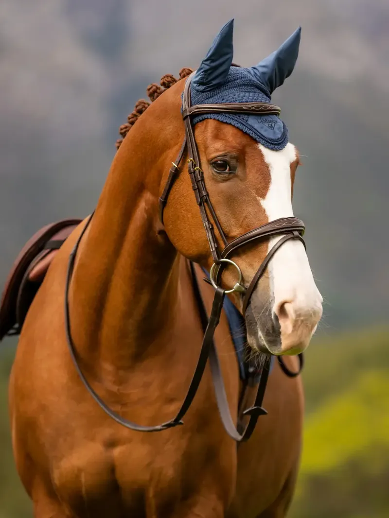 LeMieux Classic Fly Hood - Atlantic-1