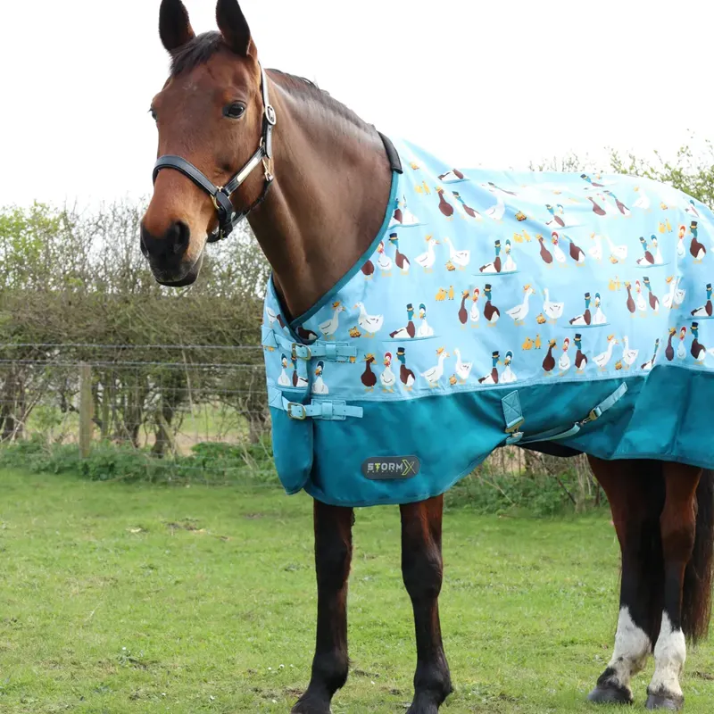 Hy StormX Original Ay Up Duck 50g Turnout Rug - Blue/Turquoise-1