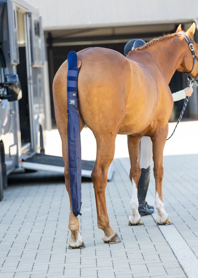 Woof Wear Tail Bag - Navy -1