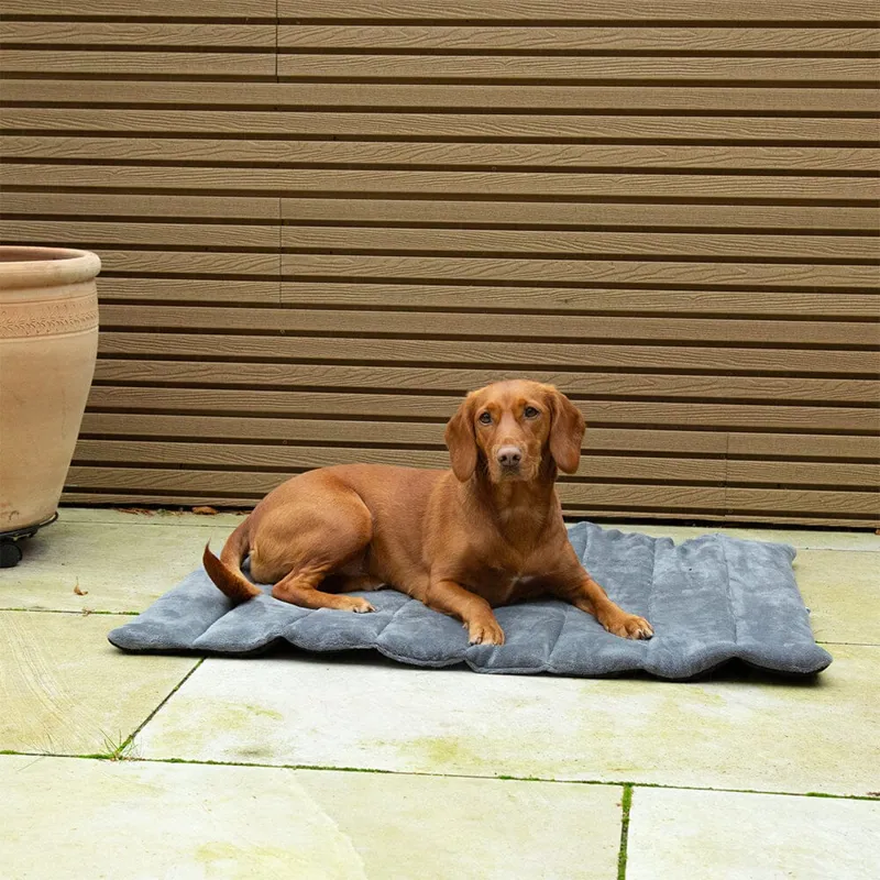 Scruffs Expedition Roll Up Travel Pet Bed - Khaki Green-3