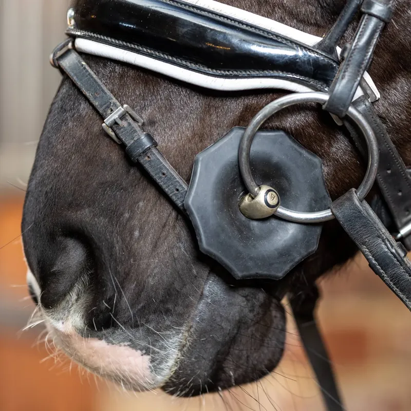 LeMieux Contoured Rubber Bit Guards - Black -1