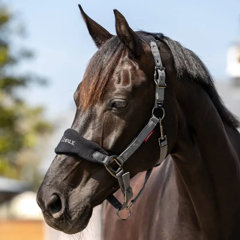 LeMieux Vogue Headcollar and Leadrope - Black-1