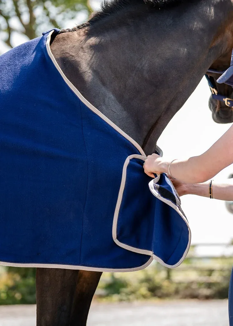 Cameo Elevate Show Rug - Navy-2