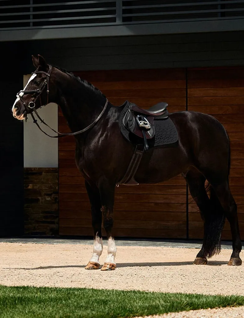 WeatherBeeta Suede Elite Air-Tec Jump Shaped Saddle Pad - Black-1