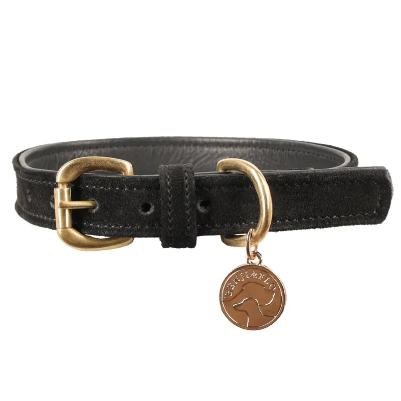Benji and Flo Noble Suede Dog Collar - Black/Gold