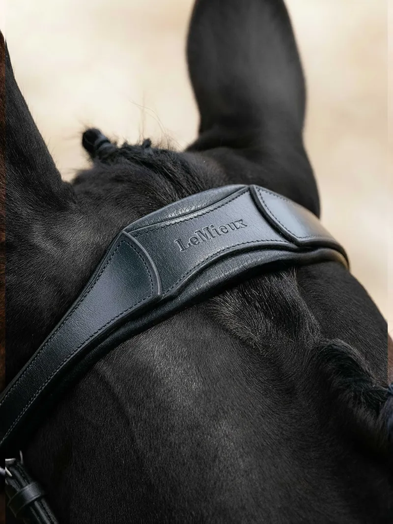 LeMieux Arika Split Noseband Bridle - Black/Silver-1