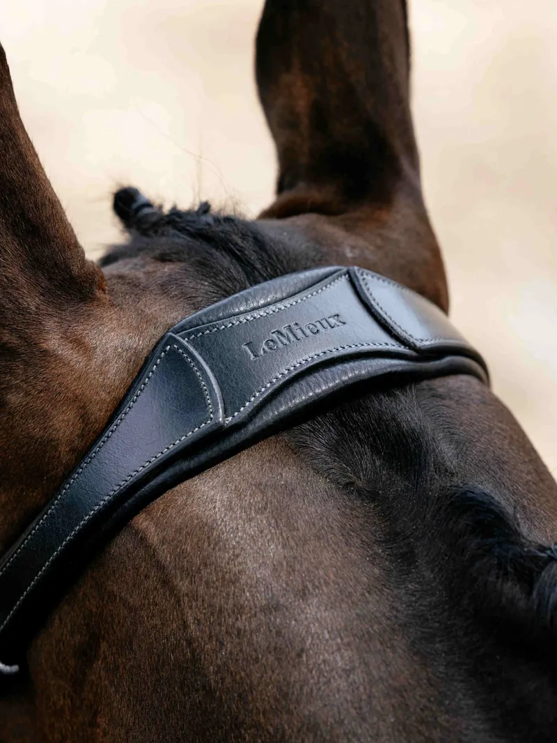 LeMieux Arika Drop Bridle - Black/Silver-3