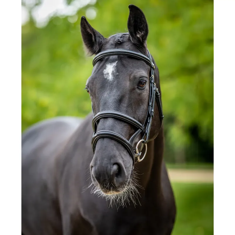 LeMieux Kudos Double Noseband Bridle - Black/Silver-1