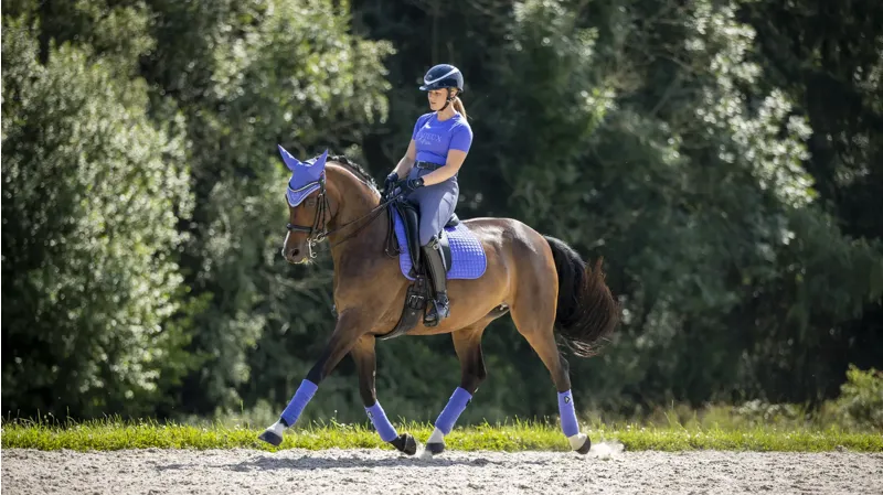 LeMieux Suede Dressage Square Small/Medium - Bluebell -1