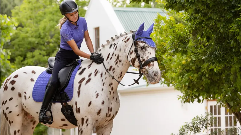 LeMieux Suede Dressage Square Small/Medium - Bluebell -3