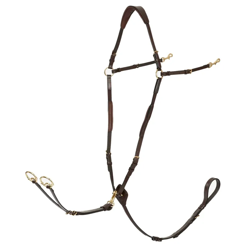 LeMieux Breastplate with Detachable Martingale - Havana/Brass