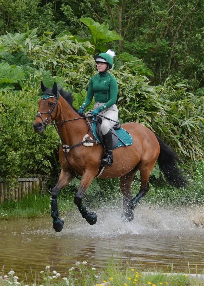 Woof Wear Club Brushing Boot - British Racing Green