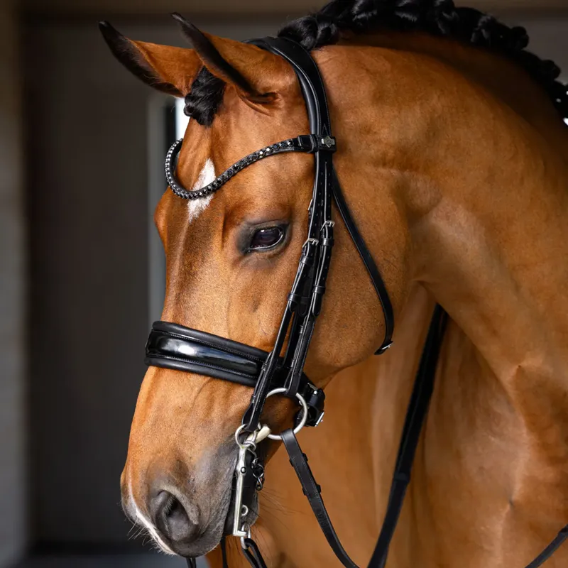 LeMieux Kudos Double Bridle - Black-1