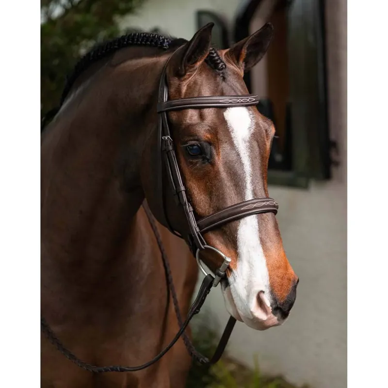 LeMieux Stitched Hunter Bridle with Laced Reins - Havana/Silver-2