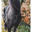 Cameo Core Hunt Breastplate - Brown
