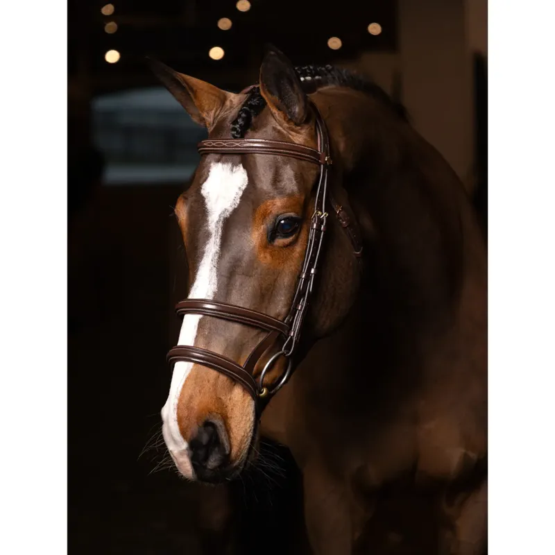 LeMieux Kudos Double Noseband Bridle - Havana/Brass-1