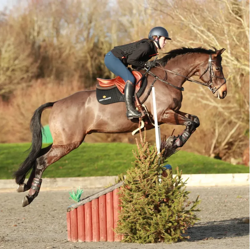 Equilibrium Tri-Zone All Sports Boots - Brown-5