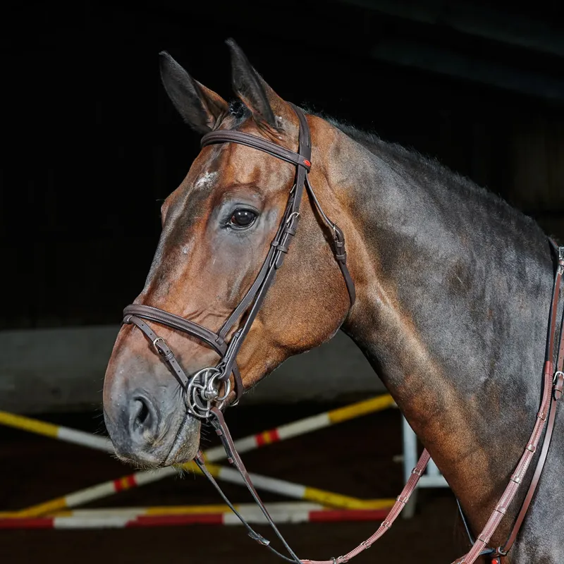 John Whitaker Ready To Ride Flash Bridle - Havana