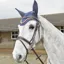 John Whitaker Lynton Flash Bridle comes with Spare Browband - Havana