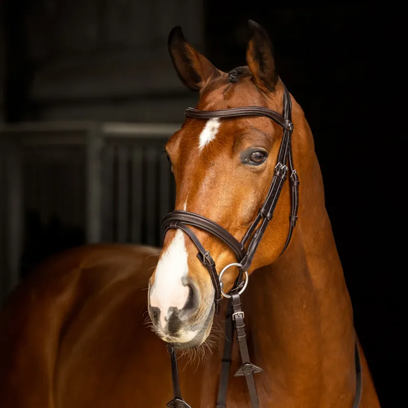 LeMieux Arika Flash Bridle - Brown/SIlver-1