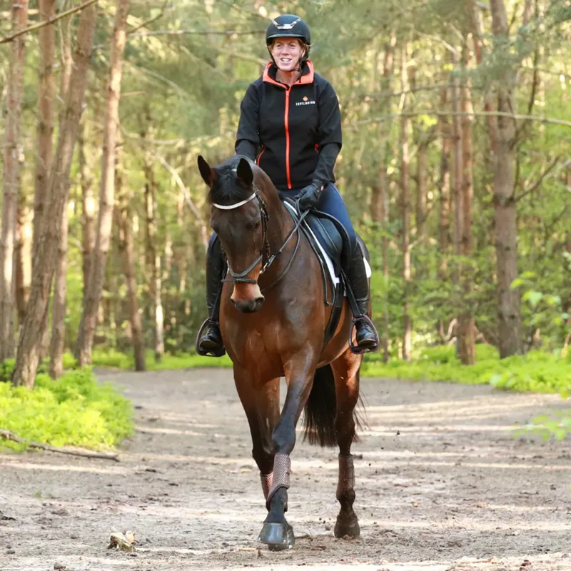 Equilibrium Tri-Zone Brushing Boots - Brown-4