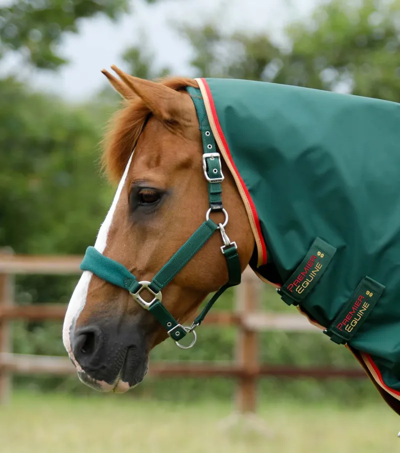 Premier Equine Buster Zero Turnout Rug with Neck Cover - Green-2