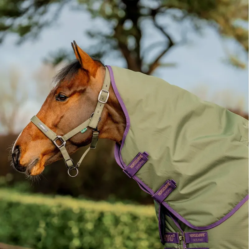 Horseware Amigo Hero Ripstop Plus 200g Turnout Rug - Bramble/Winterberry-5