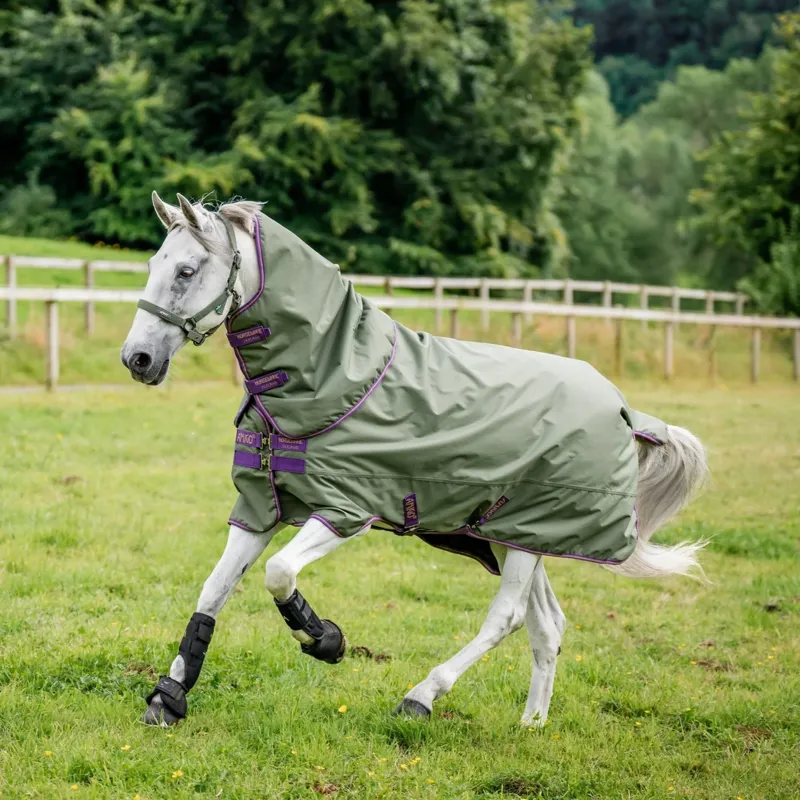 Horseware Amigo Hero Ripstop Plus 100g Turnout Rug - Bramble/Winterberry