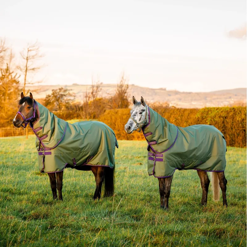 Horseware Amigo Hero Ripstop Plus 200g Turnout Rug - Bramble/Winterberry-6