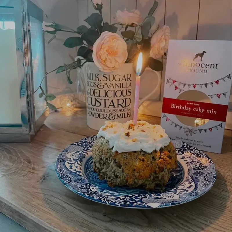 The Innocent Hound Grain Free Dog Birthday Cake Mix - British Duck-2