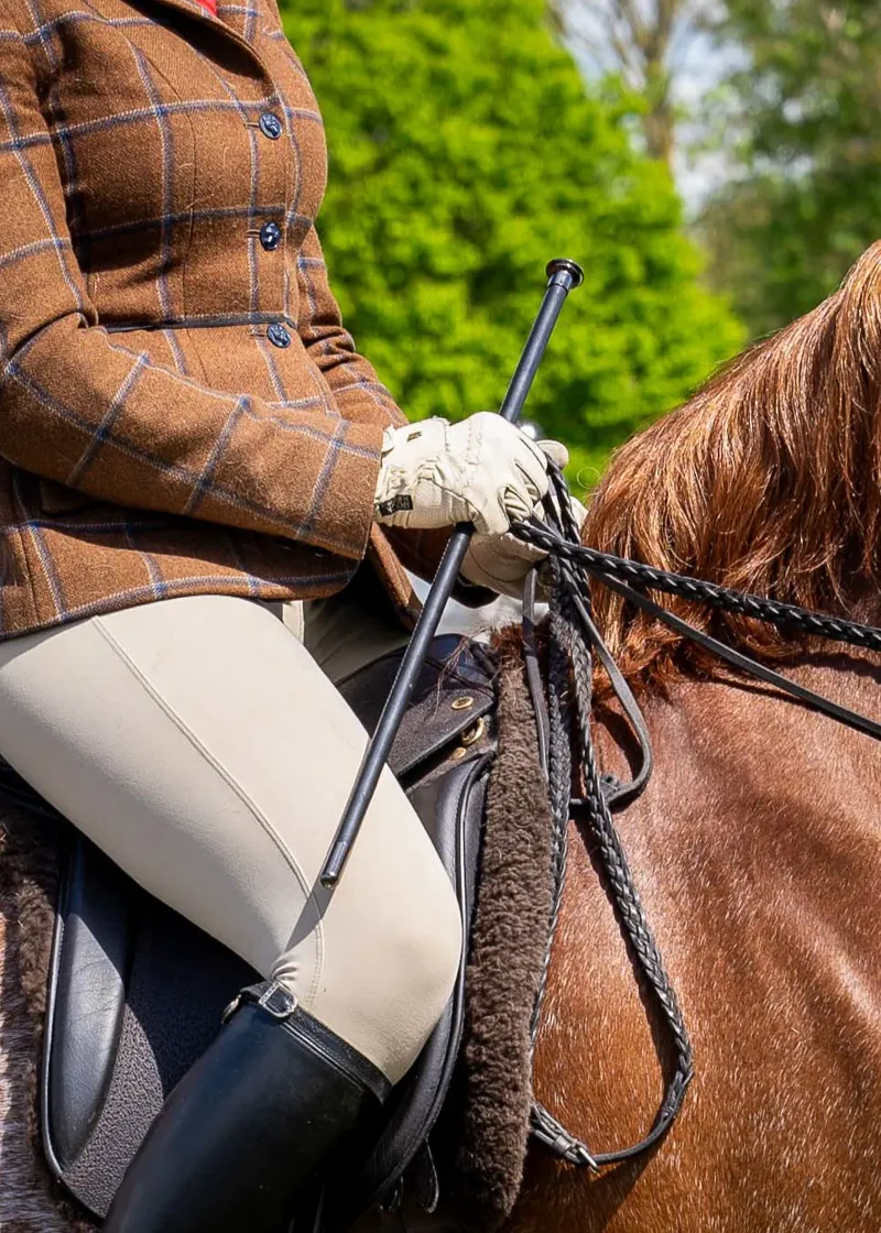 Woof Wear Show Cane - Black 60cm-1