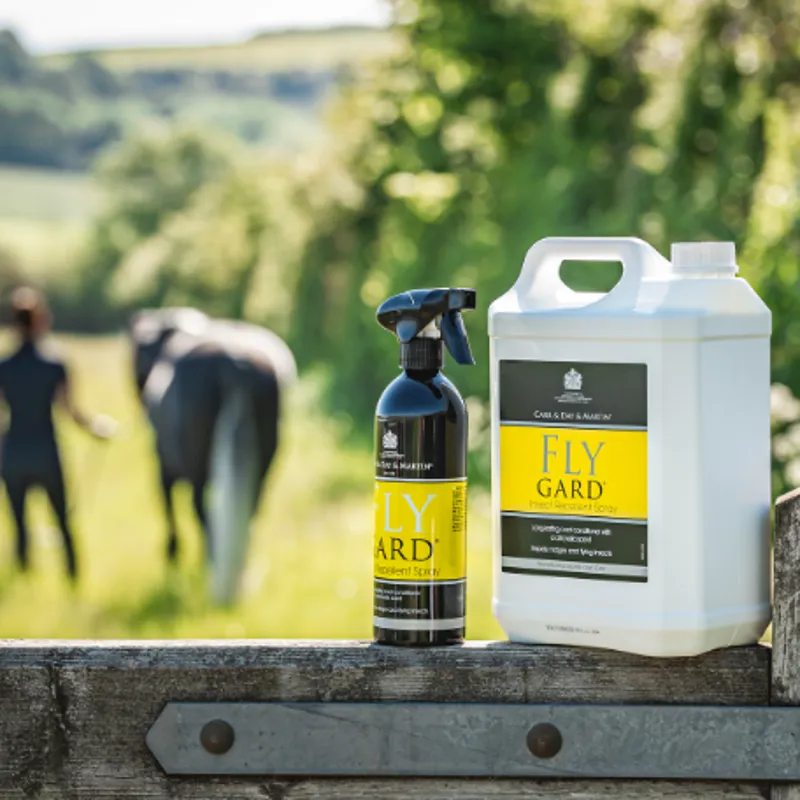 Carr and Day and Martin Flygard Insect Repellent-3