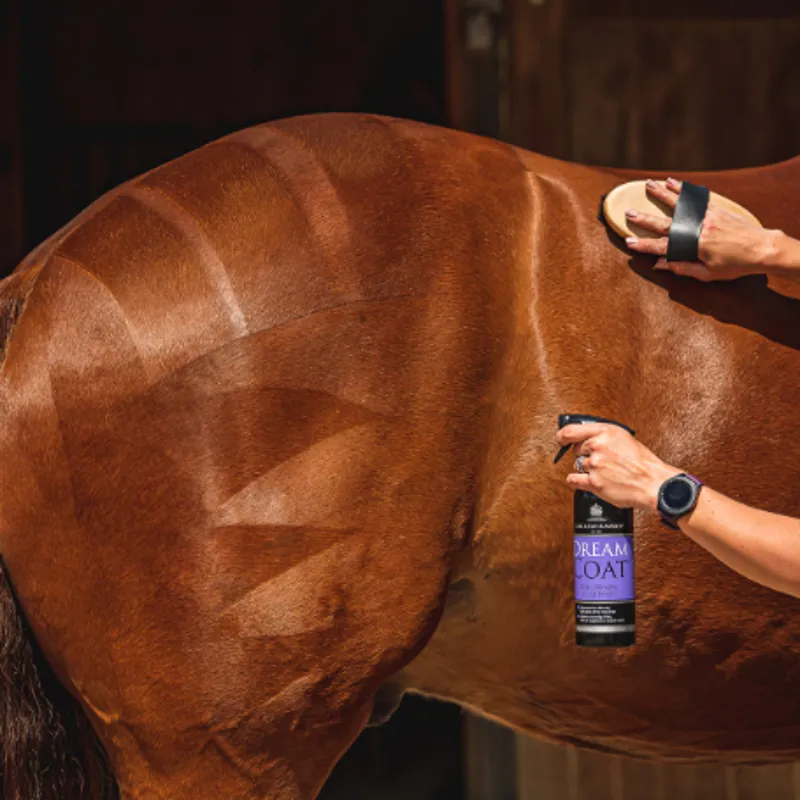 Carr and Day and Martin DreamCoat Spray-2