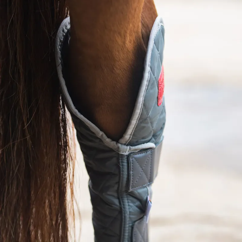 Equilibrium Hind and Hock Magnetic Chaps - Grey-3