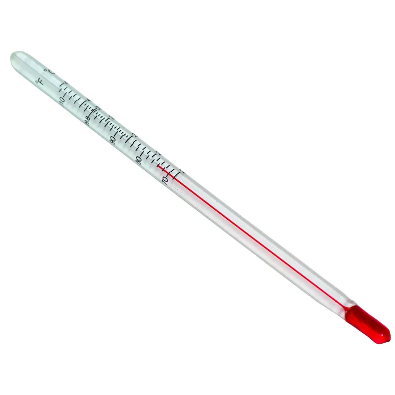 Chicktec Glass Stem Thermometer - 6 inch