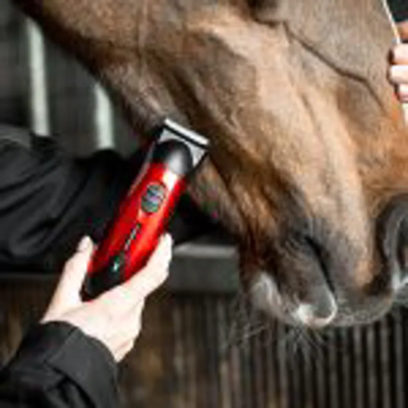 Liveryman Classic Rechargeable Horse Trimmer -3