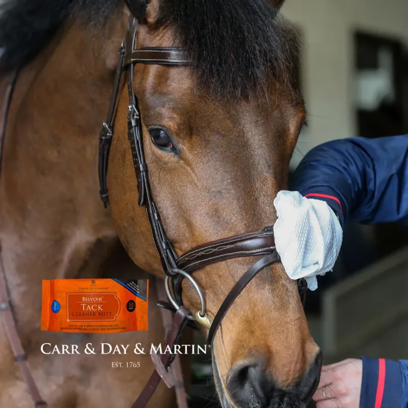 Carr and Day and Martin Belvoir Cleaning Mitt - 10 pack-2