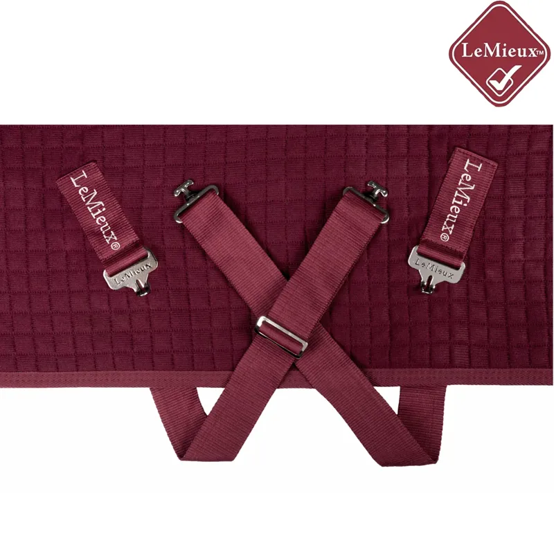 LeMieux Arika Clima-Tek Rug - Burgundy-3