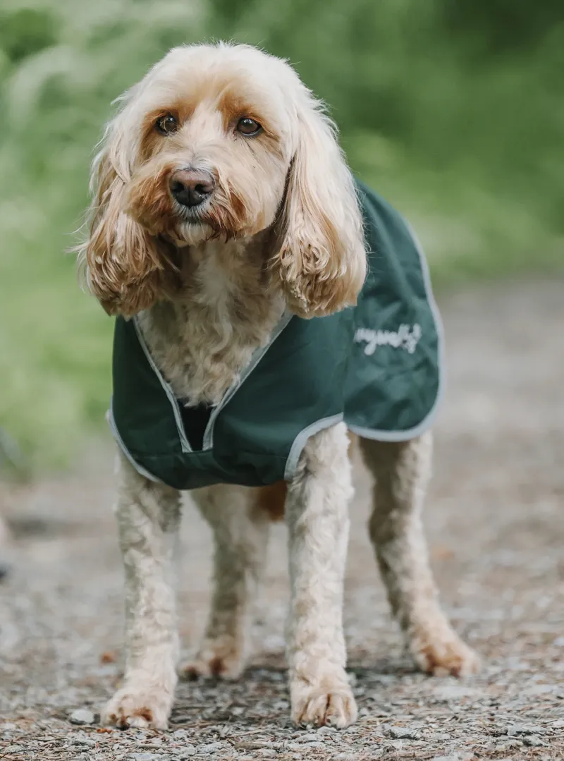EQUIDRY Drywalks Waterproof Dog Coat - Forest Green-1