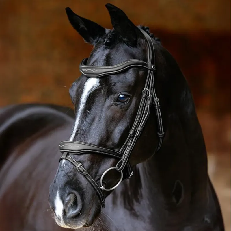 LeMieux Kudos Contour Flash Bridle - Black-1