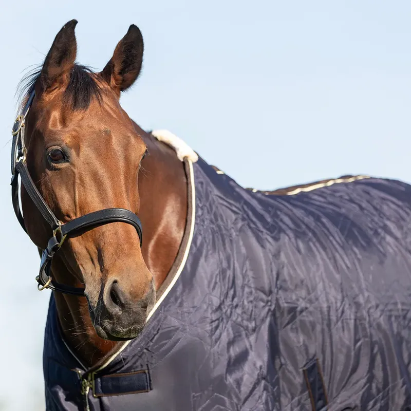 Hy StormX Original Luxury Show Rug - Navy/Cream-3